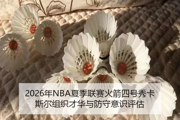 nian-xia-ji-lian-sai-huo-jian-si-hao-xiu-ka-si-er-zu-zhi-cai-hua-yu-fang-shou-yi-shi-ping-gu-1-260.jpg